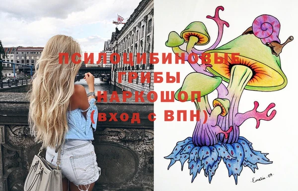 ПСИЛОЦИБИНОВЫЕ ГРИБЫ Киреевск