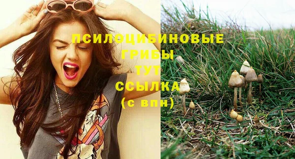 дживик Балахна