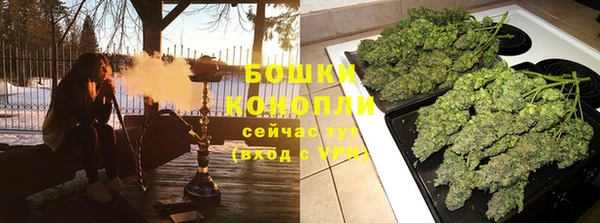 дживик Балахна