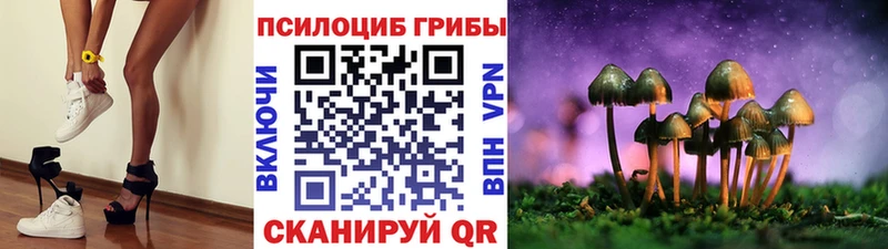 купить наркоту  Глазов  Псилоцибиновые грибы Psilocybe 