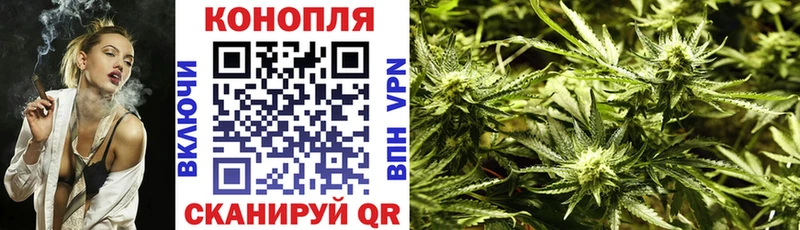 купить Глазов Конопля гибрид